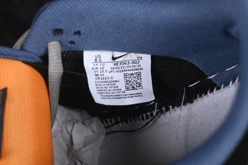 Nike SB Dunk Low Skateboarding Shoes with Premium Leather and Embroidery Craft - HF3063-002