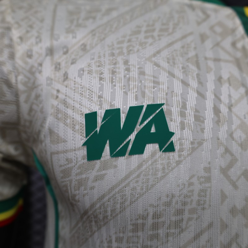 Player Version  26/27 Mali Home Jersey
